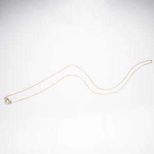 Small Mighty 14k yellow gold necklace